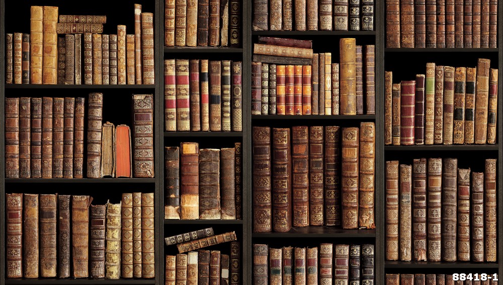 Giấy dán tường giá sách 88418-1